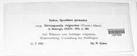 Cercosporella virgaureae image